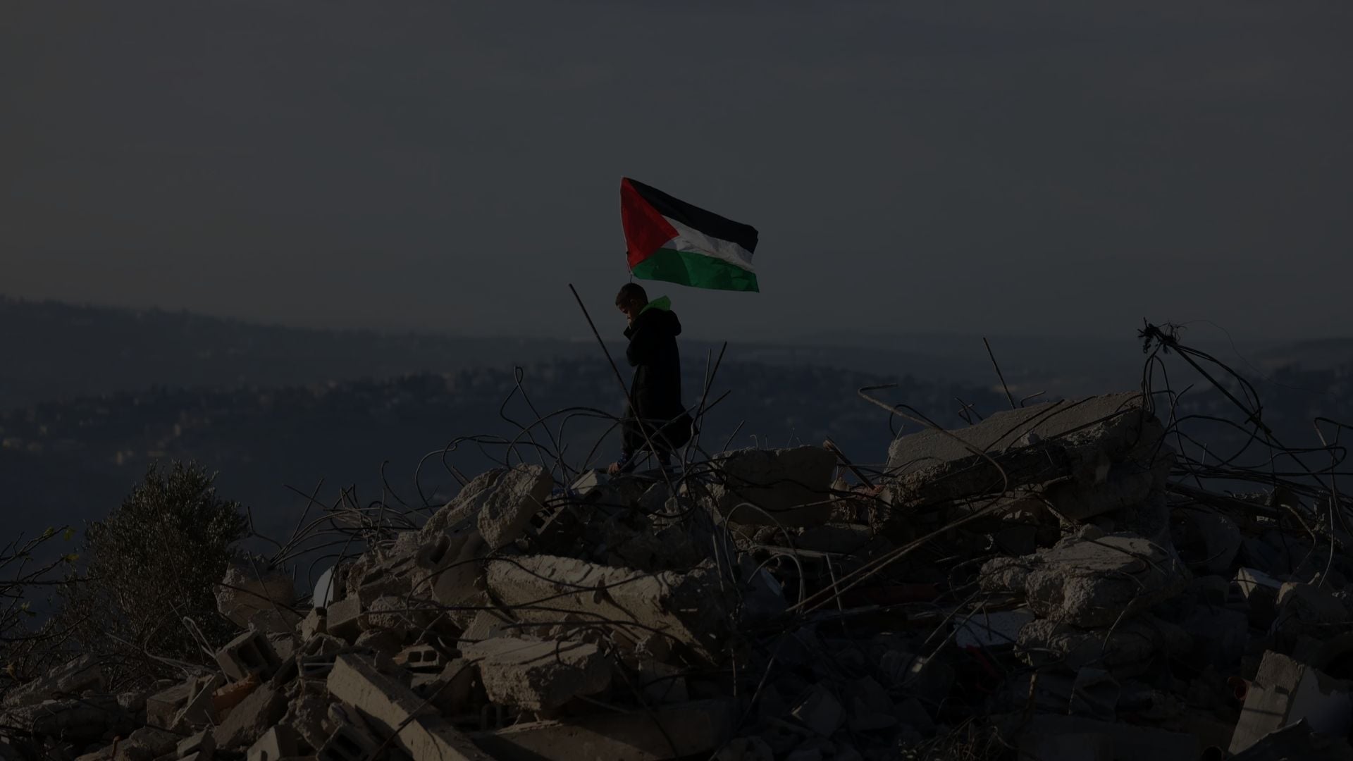 Sanità a Gaza e Cisgiordania, prima e durante il genocidio cover