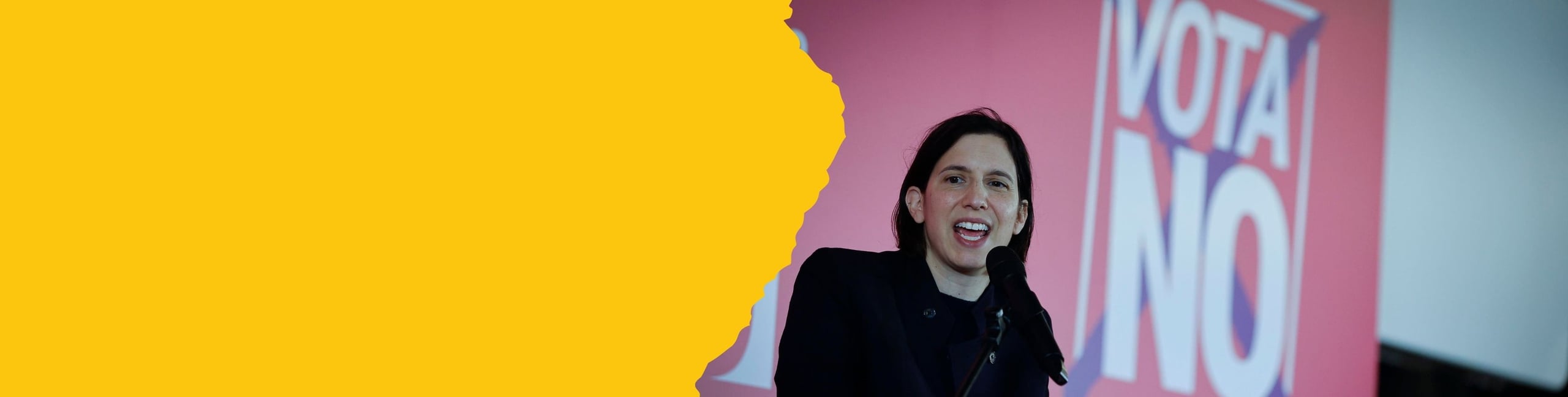 Elly Schlein Banner