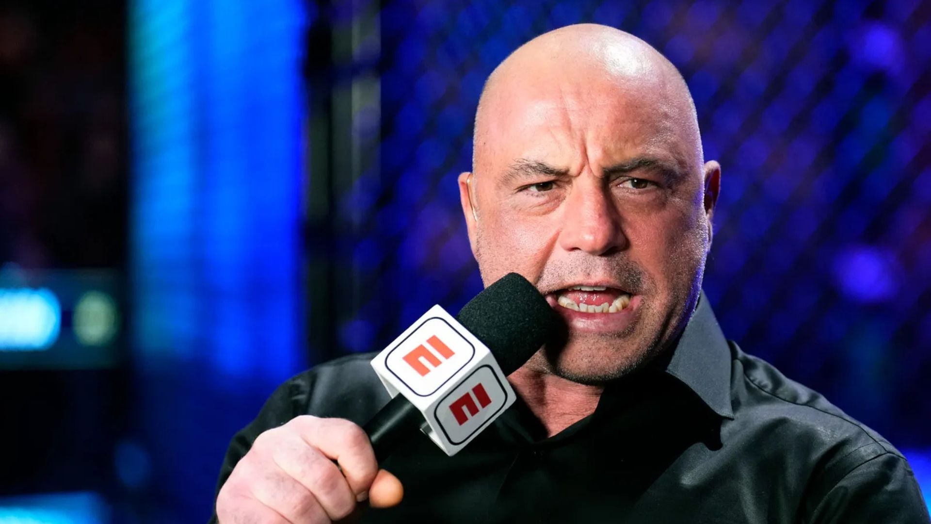 Joe Rogan