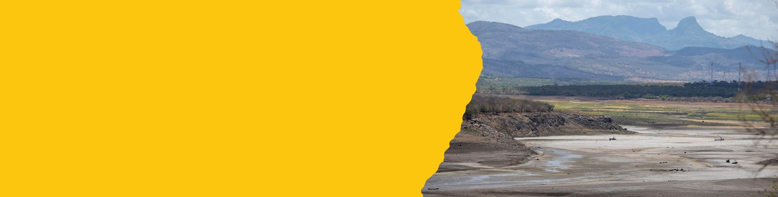 Clima Banner