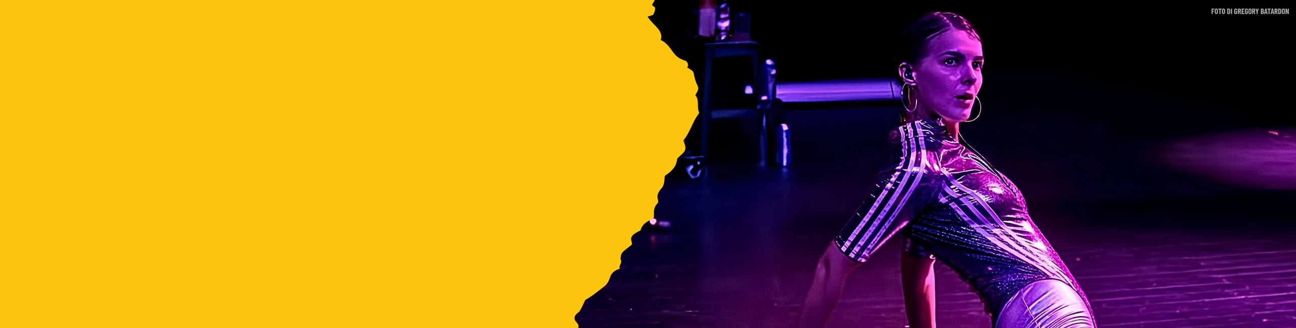 Elina Kulikova banner