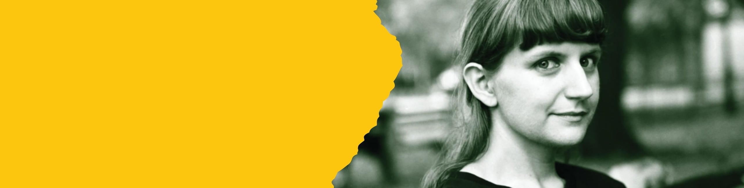 Liz Pelly Banner