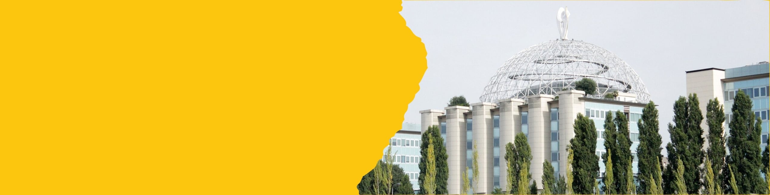 Ospedale San Raffaele banner