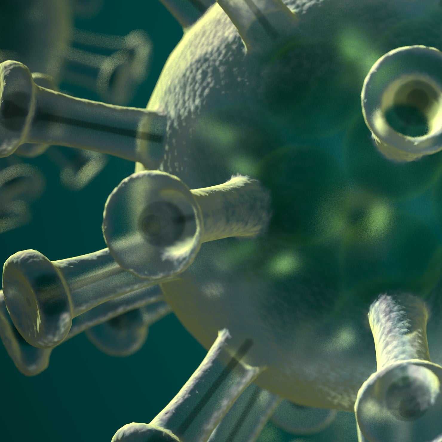 Torniamo a parlare di Covid