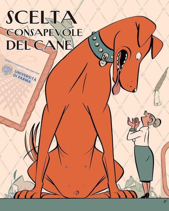 Considera l’armadillo di lunedì 01/12/2025