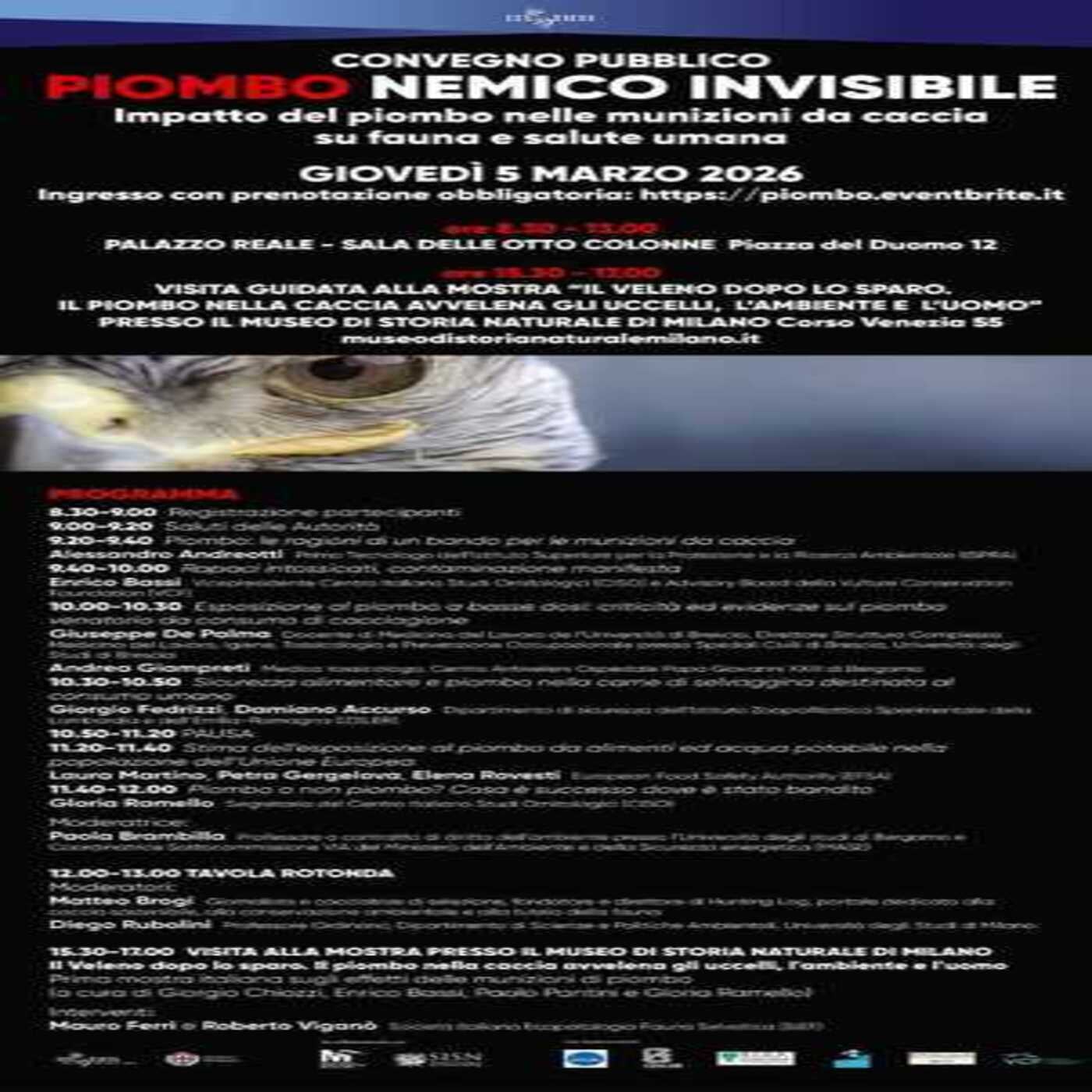 Considera l’armadillo di lunedì 02/03/2026