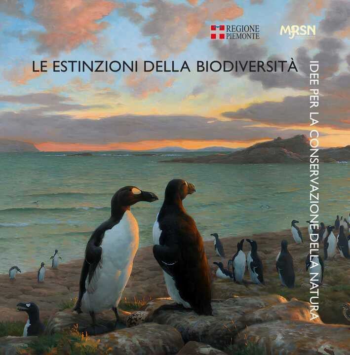 Considera l’armadillo di martedì 09/12/2025