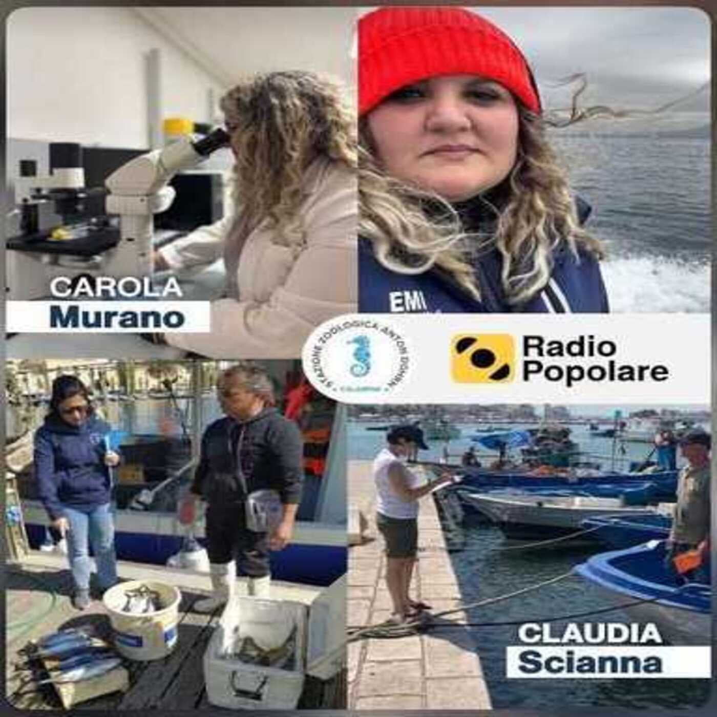 Considera l’armadillo di mercoledì 11/02/2026