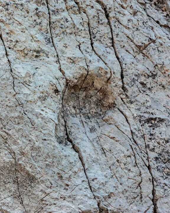 Considera l’armadillo di lunedì 22/12/2025