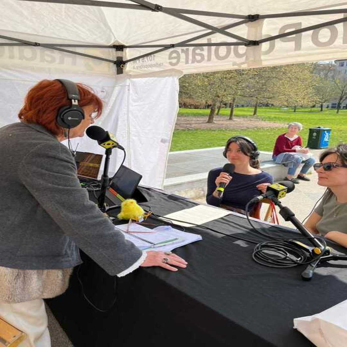 Considera l’armadillo di mercoledì 25/03/2026