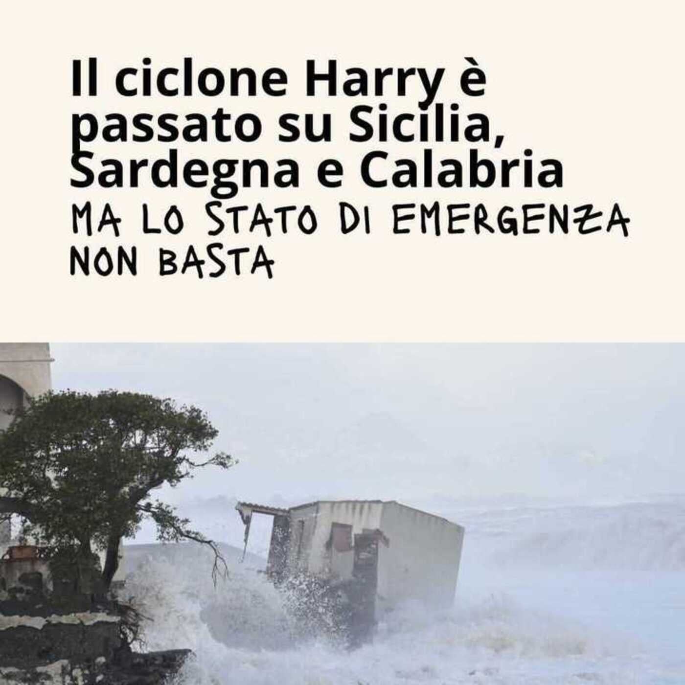 Considera l’armadillo di mercoledì 28/01/2026