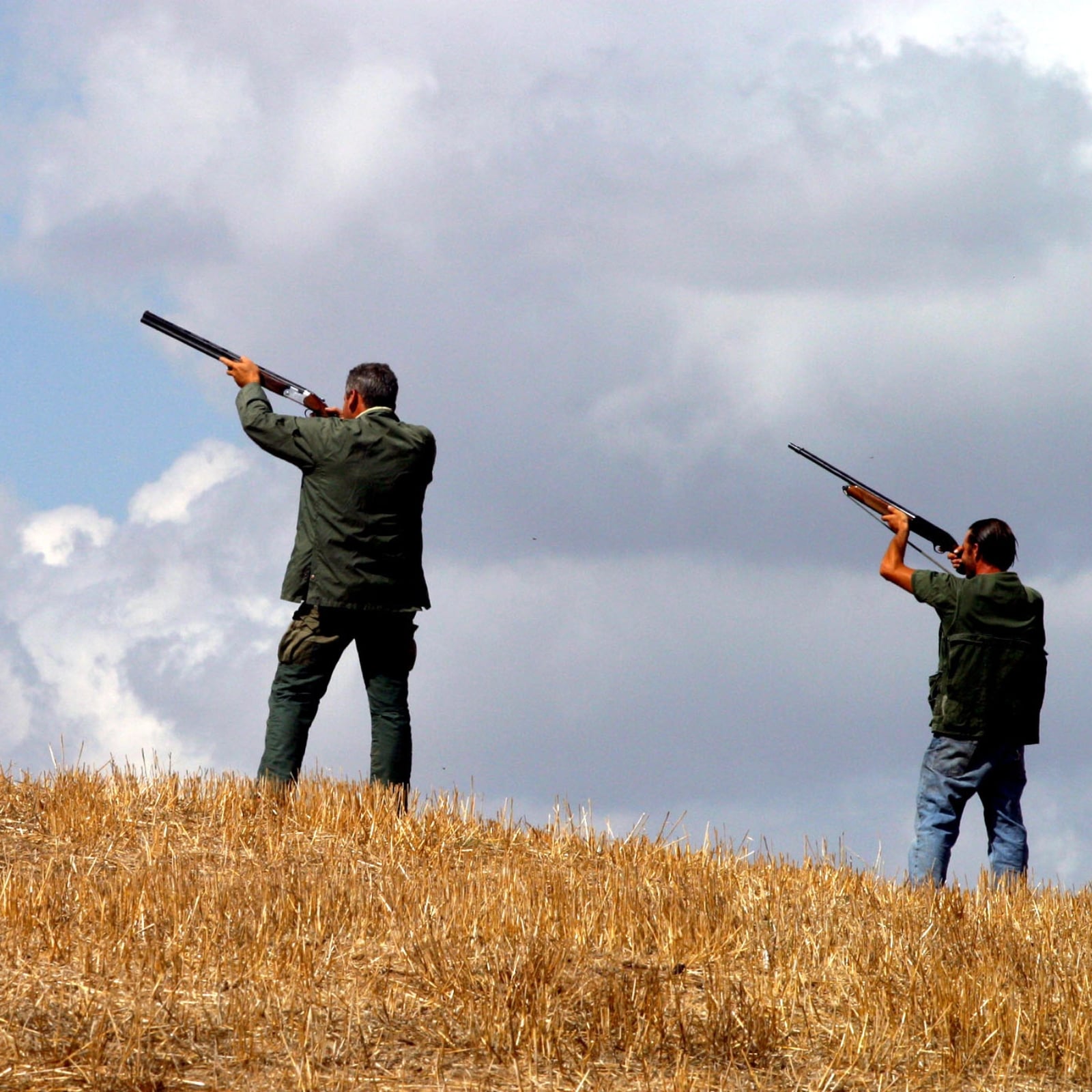 Caccia: si potrà sparare agli uccelli migratori sui valichi montani