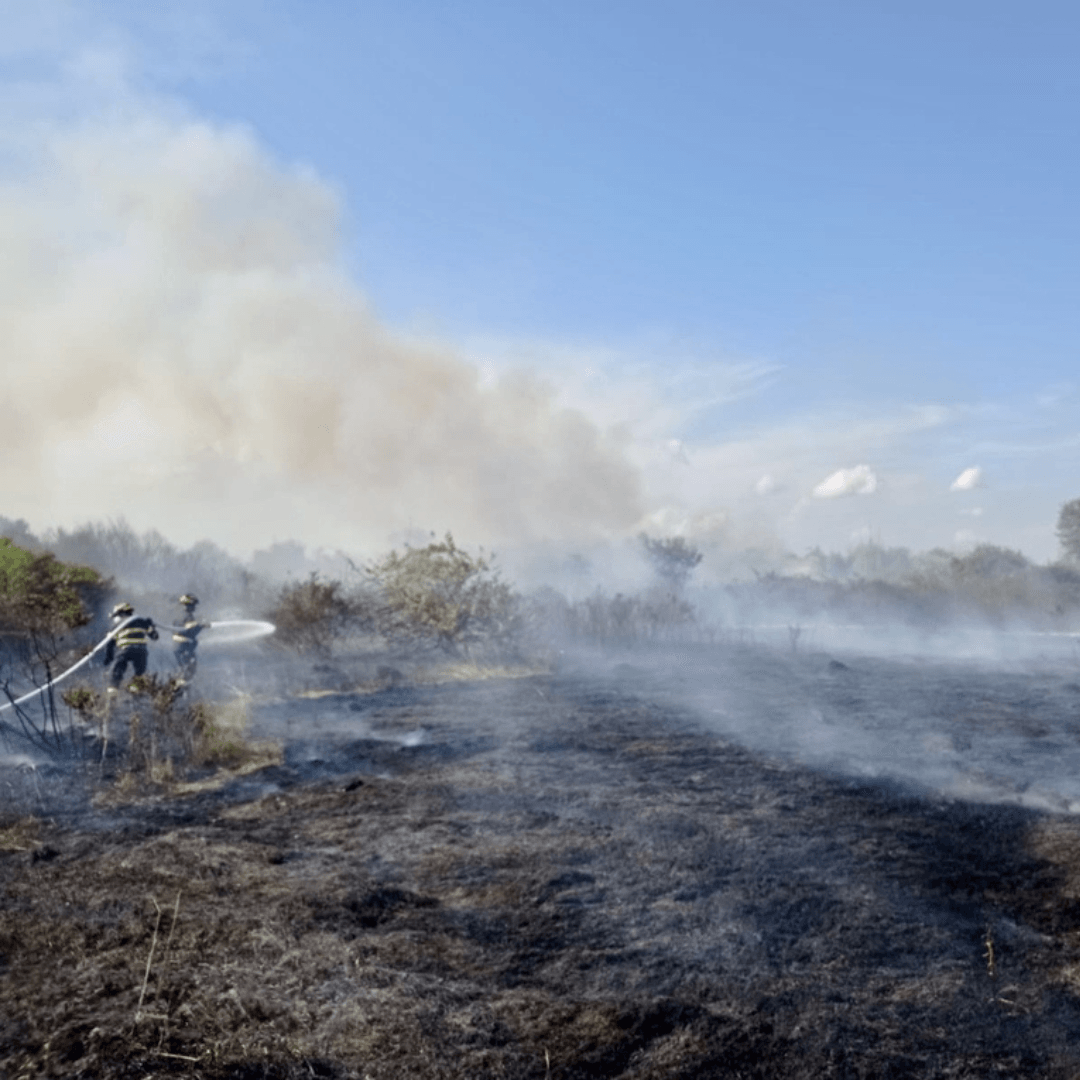 Italia in fumo, nei primi sette mesi del 2025 sono bruciati 30.988 ettari di territorio