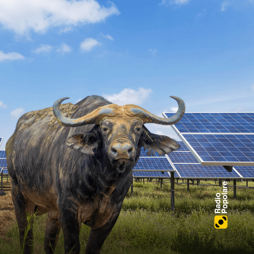 Climitologie - S1 P8