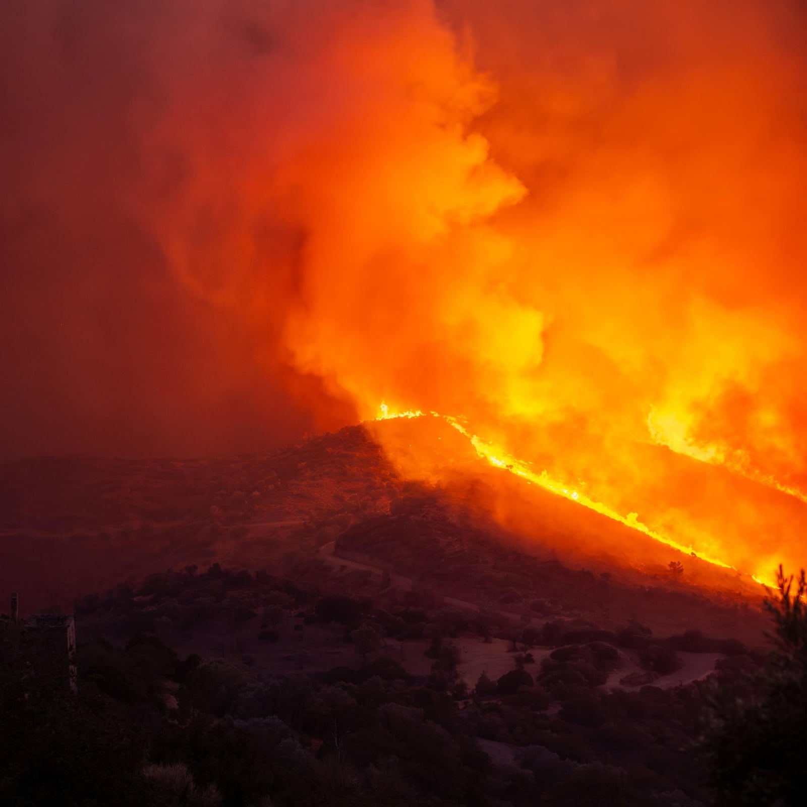 Incendi in Europa: il caldo estremo causa siccità e il fuoco si propaga di più