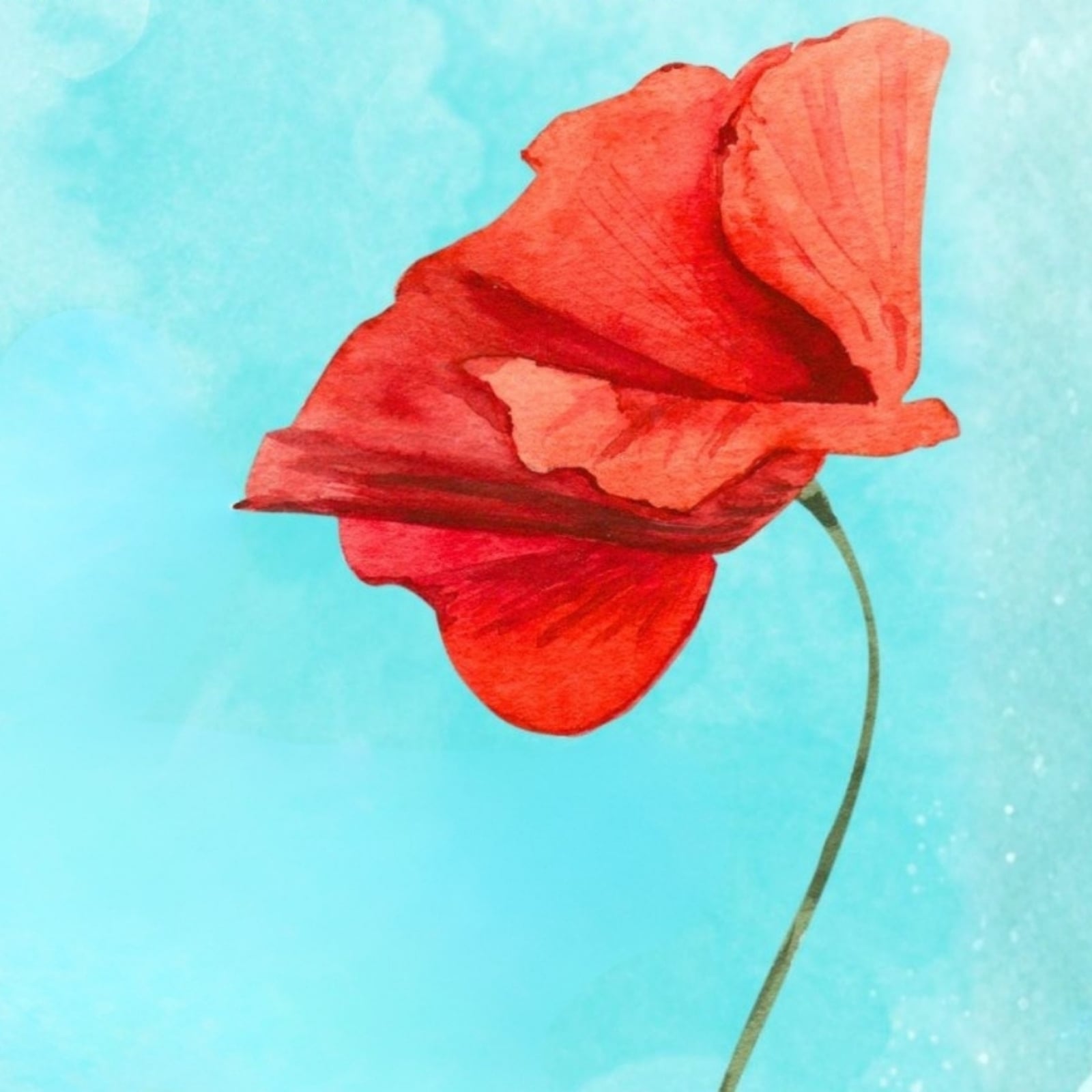 Un papavero rosso racconta l’amore ai tempi della Resistenza