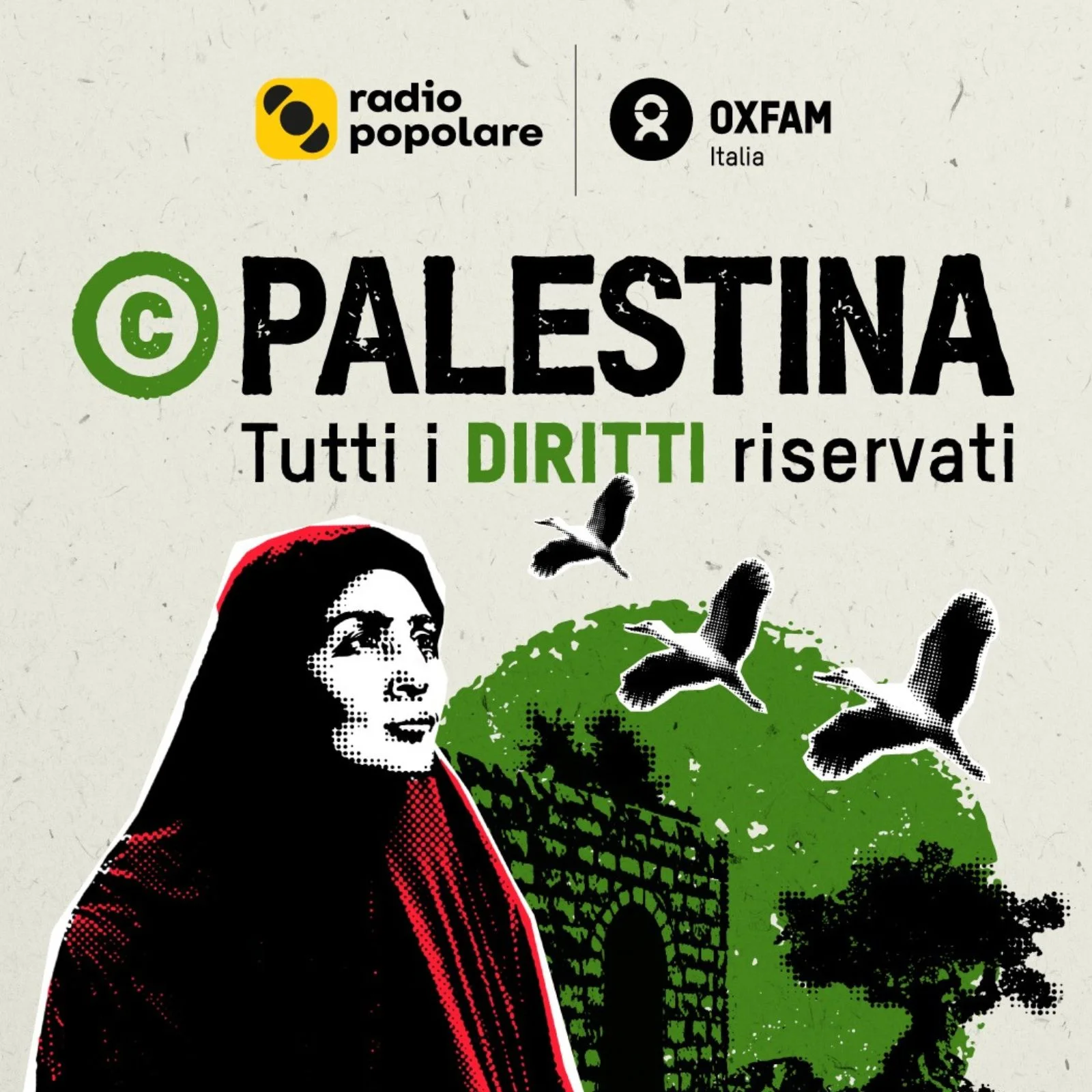 Francesco Moneti: "Quello che accade in Palestina sembra un triste film dell'orrore"