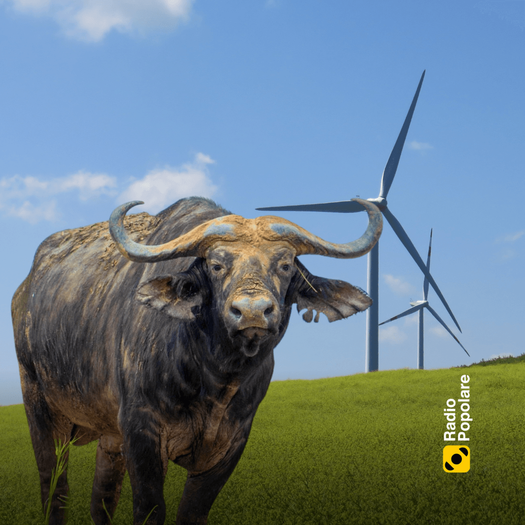 Climitologie - S1 P5