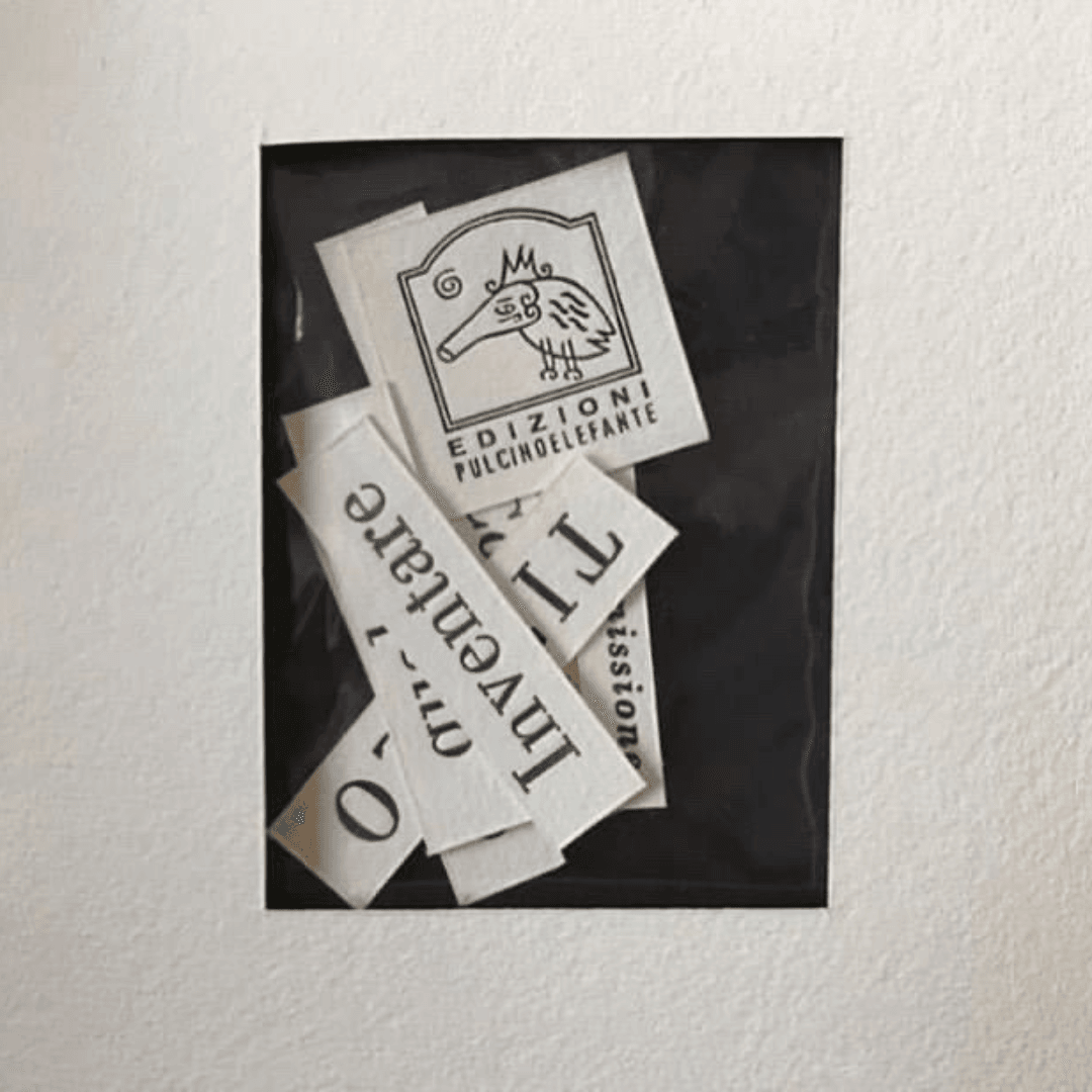 Conversazione con Alberto Casiraghy, il creatore delle edizioni Pulcinoelefante, piccoli gioielli su carta