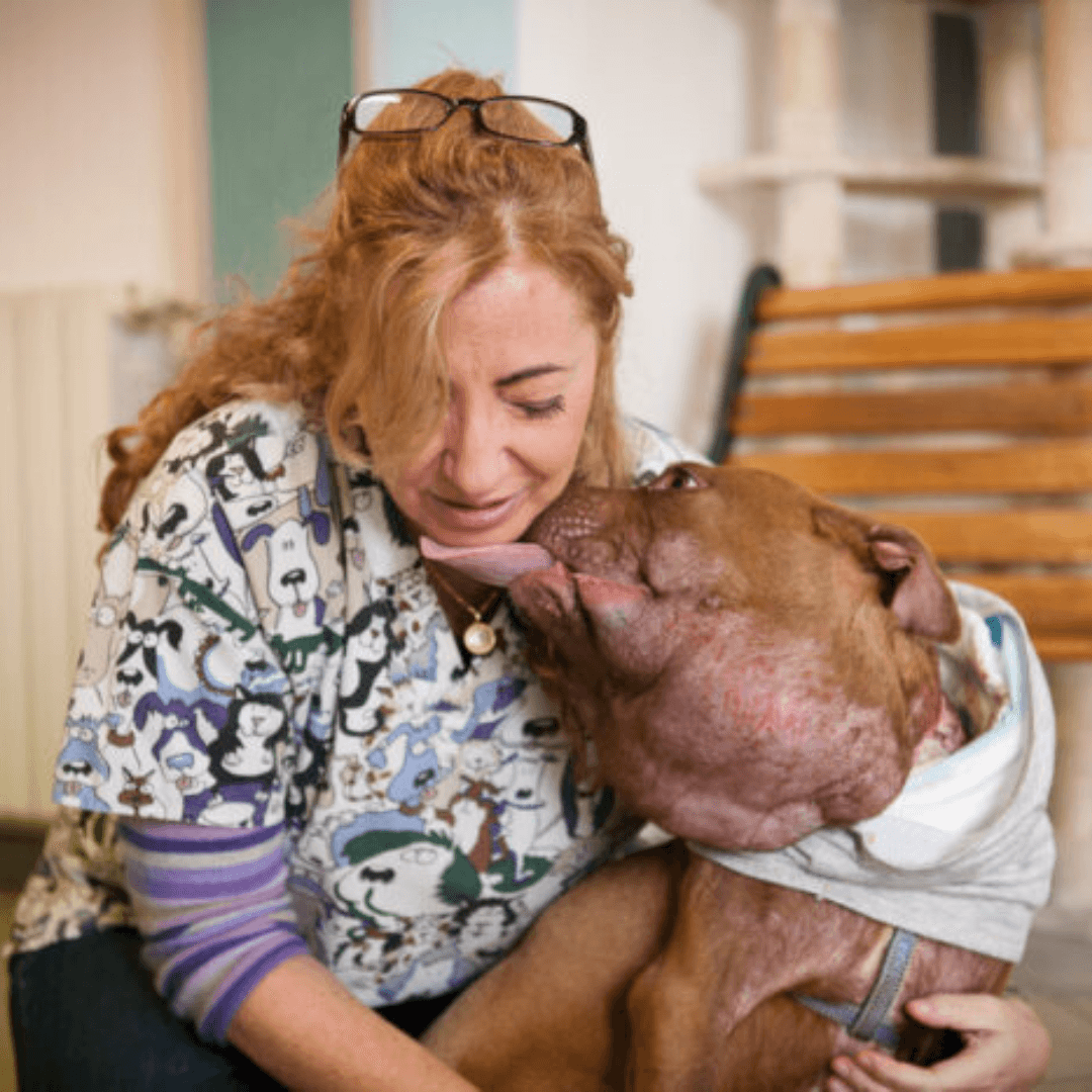 Gli auguri a Palla, il cane salvato 9 anni fa in Sardegna