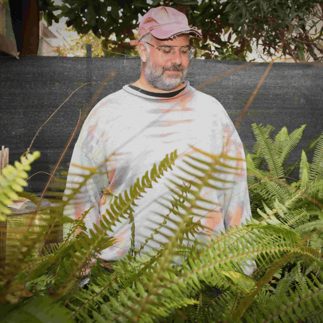 Musica come atto terapeutico: il nuovo album di Marco Giudici