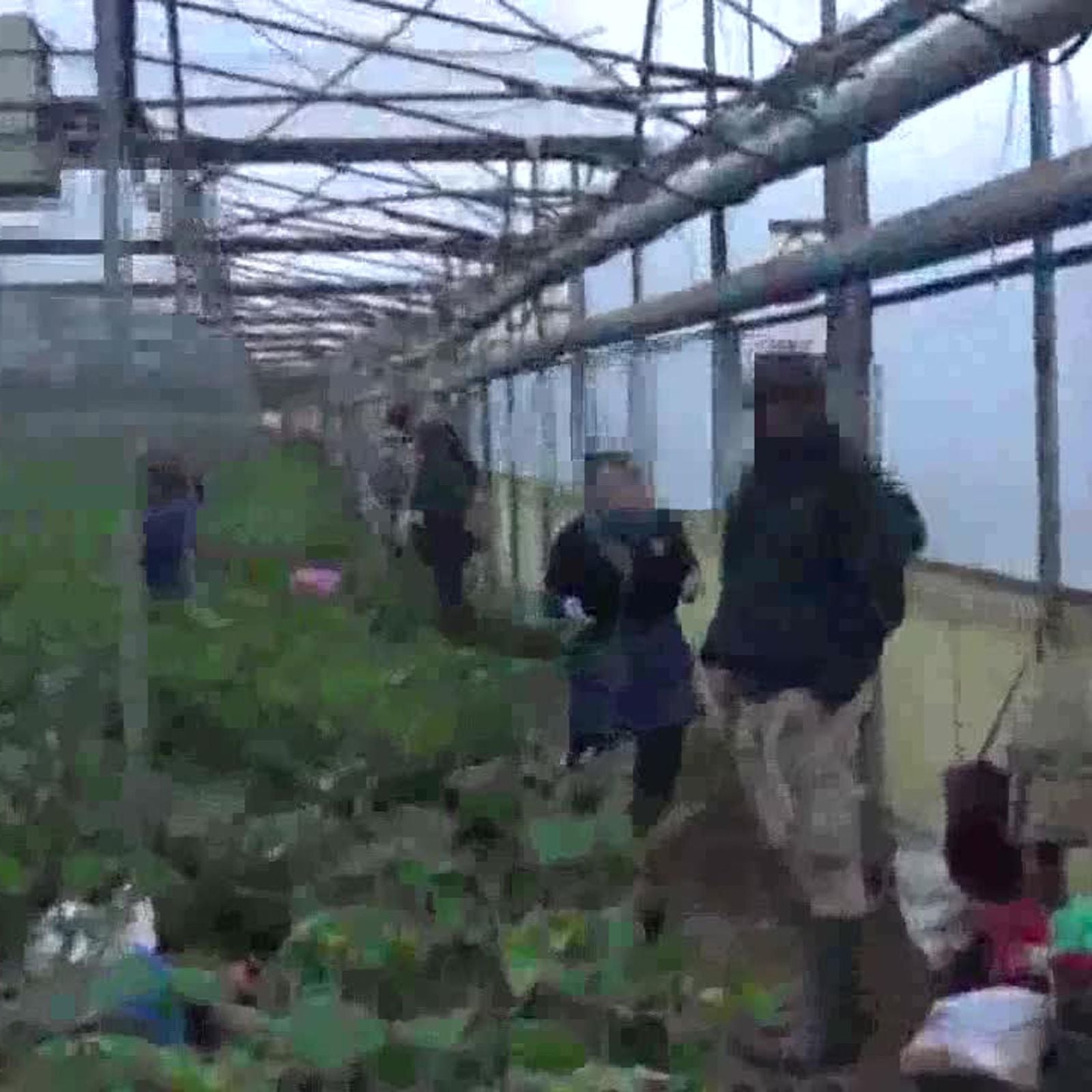 Braccianti: si muore anche da regolari