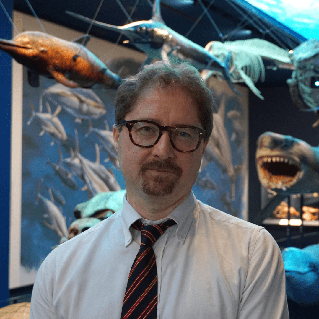 Fare la guerra, fare la pace: cosa è più semplice dal punto di vista scientifico?