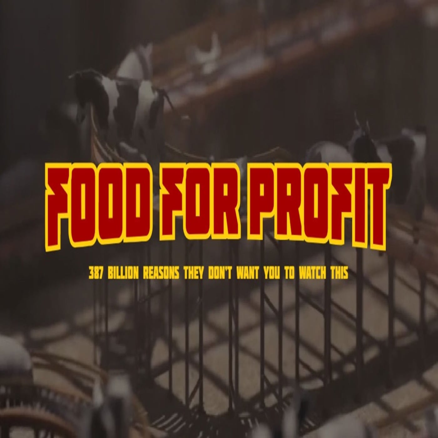 DOC – Tratti da una storia vera di sabato 04/05/2024