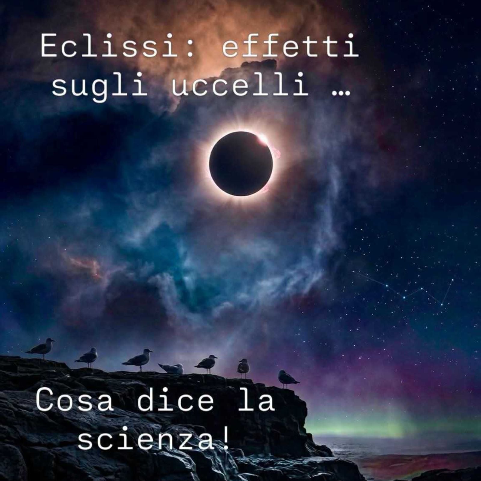 La Scatola Magica di venerdì 14/08/2026