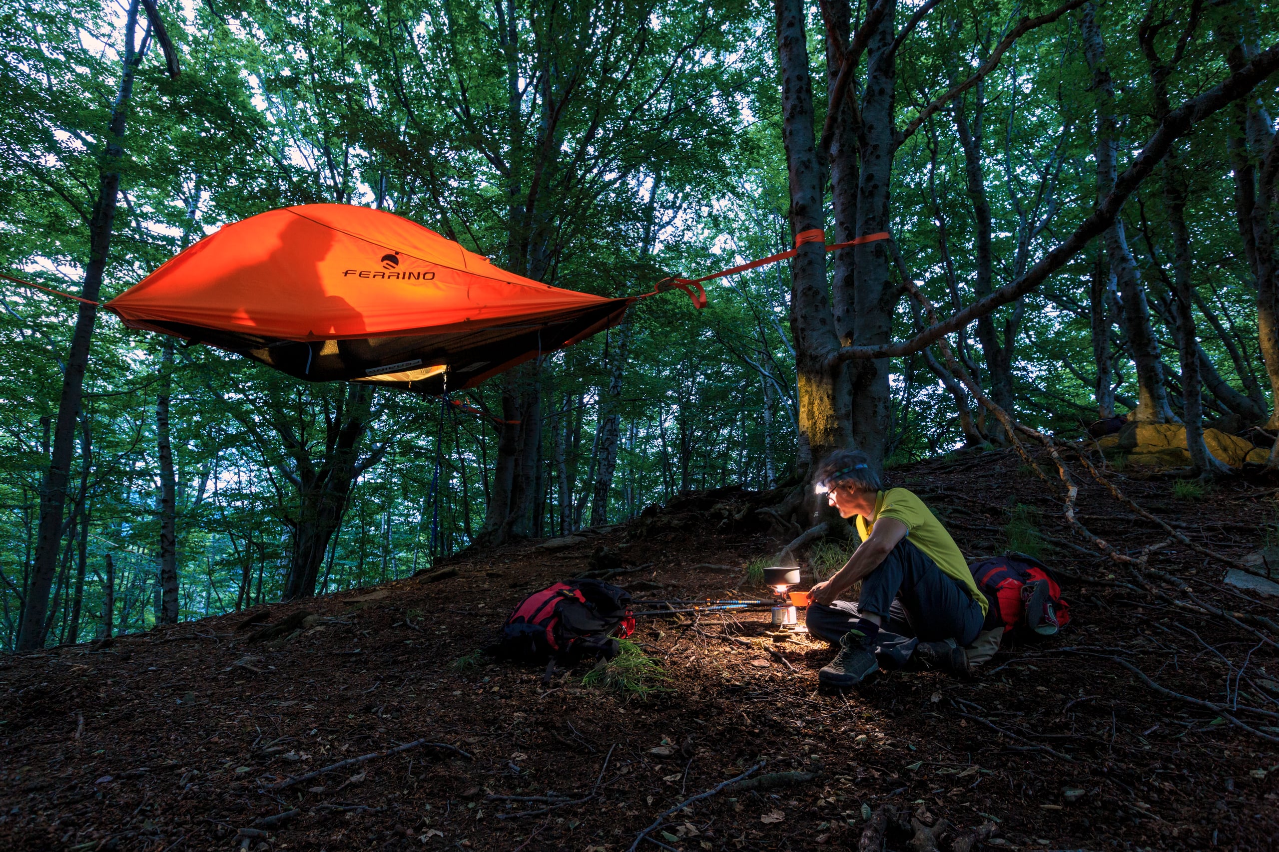 Le montagne - “Alberi infiniti: viaggio sorprendente nelle selve d’Italia” - 28/09/2025