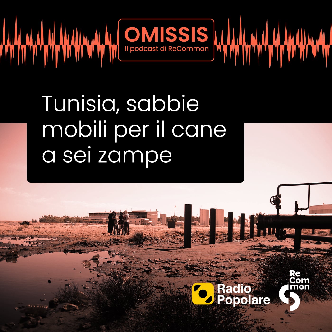 Tunisia, sabbie mobili per il cane a sei zampe