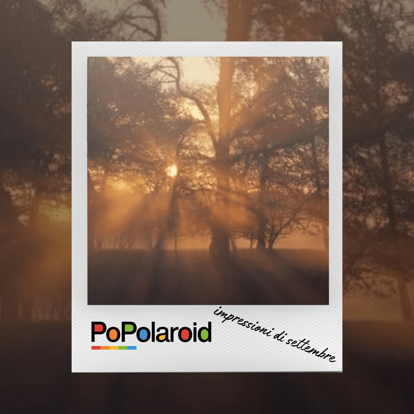 PoPolaroid - Impressioni di settembre - 06/09/2023