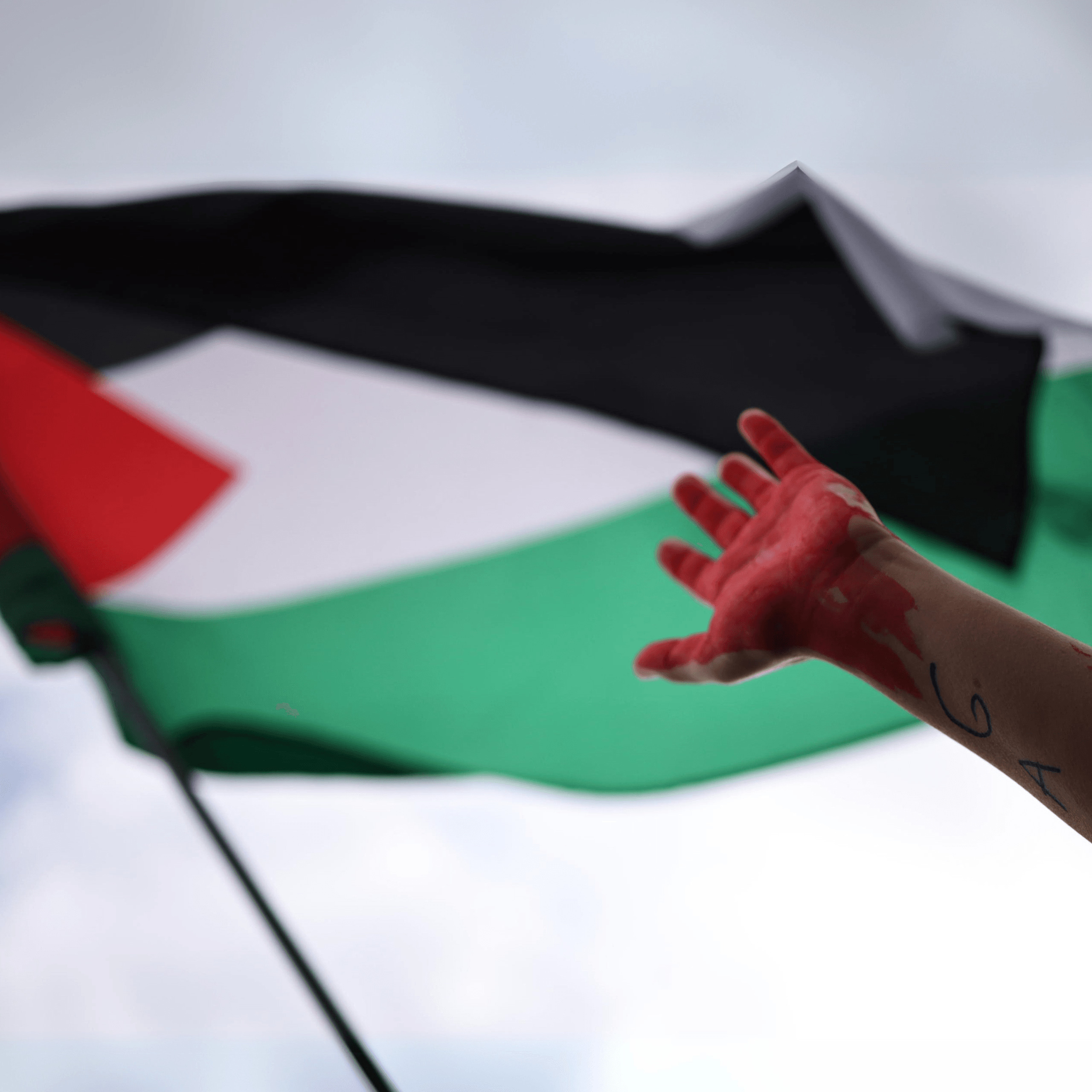 L’anno di Gaza