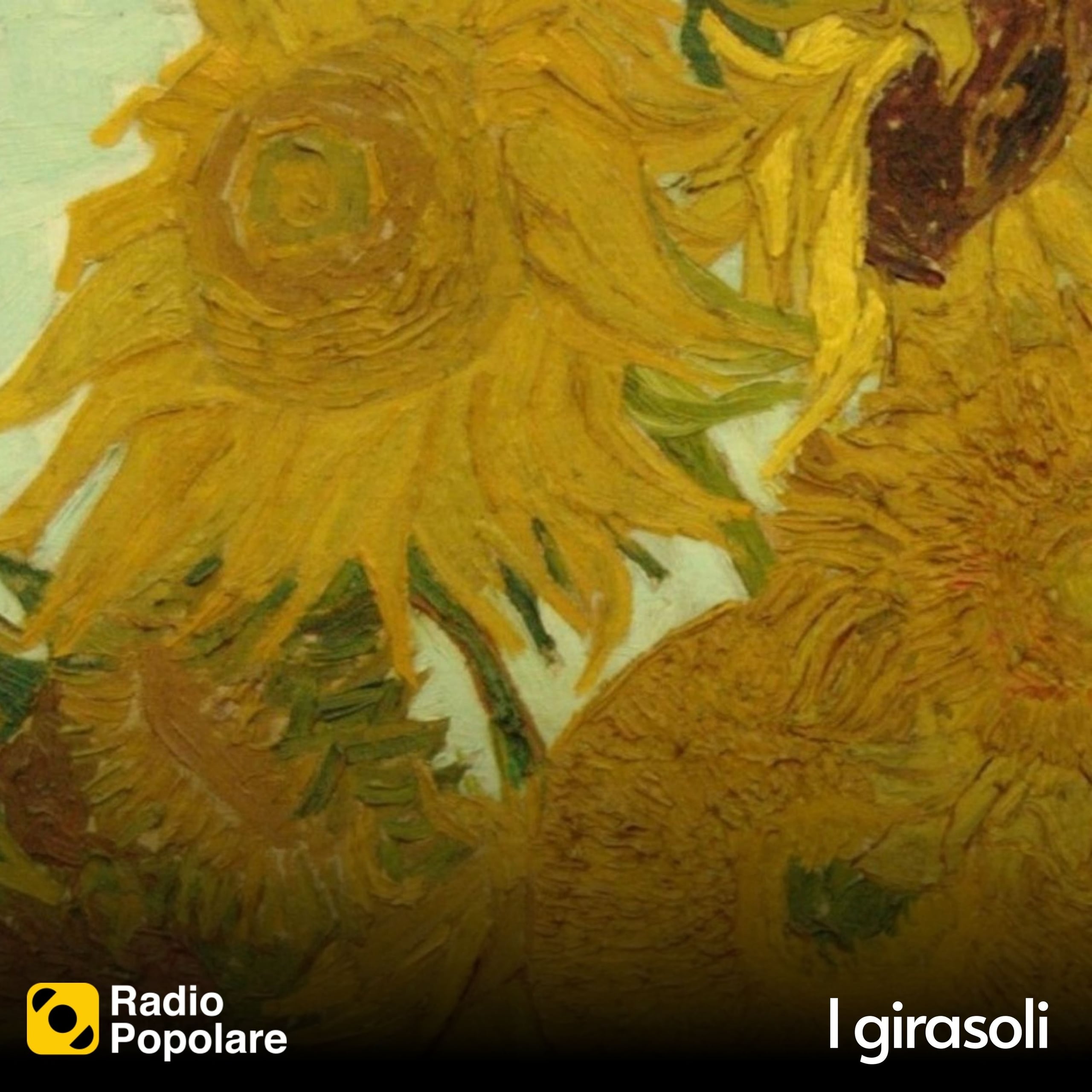 I girasoli di sabato 10/01/2026