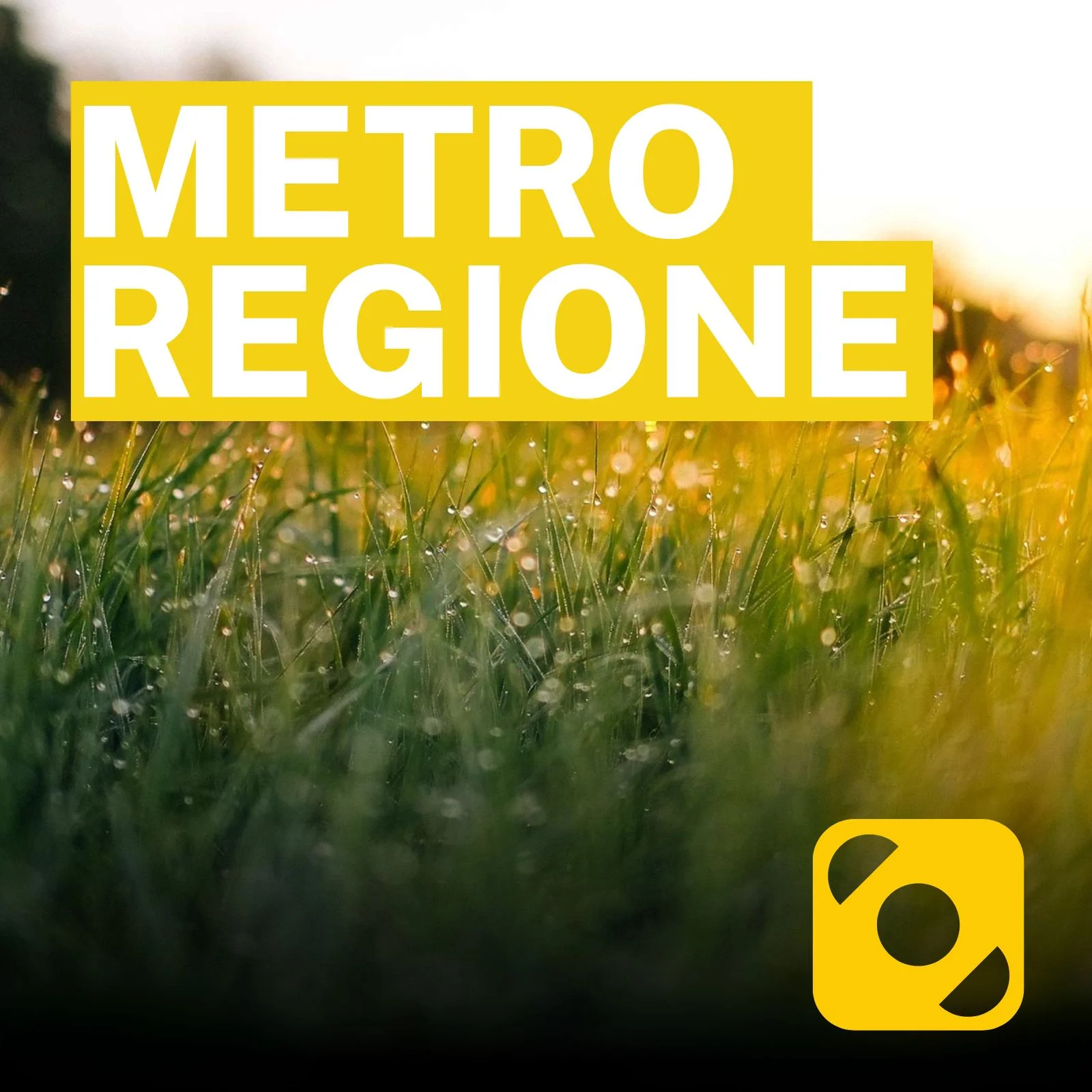 Metroregione di giovedì 22/01/2026 delle 07:16