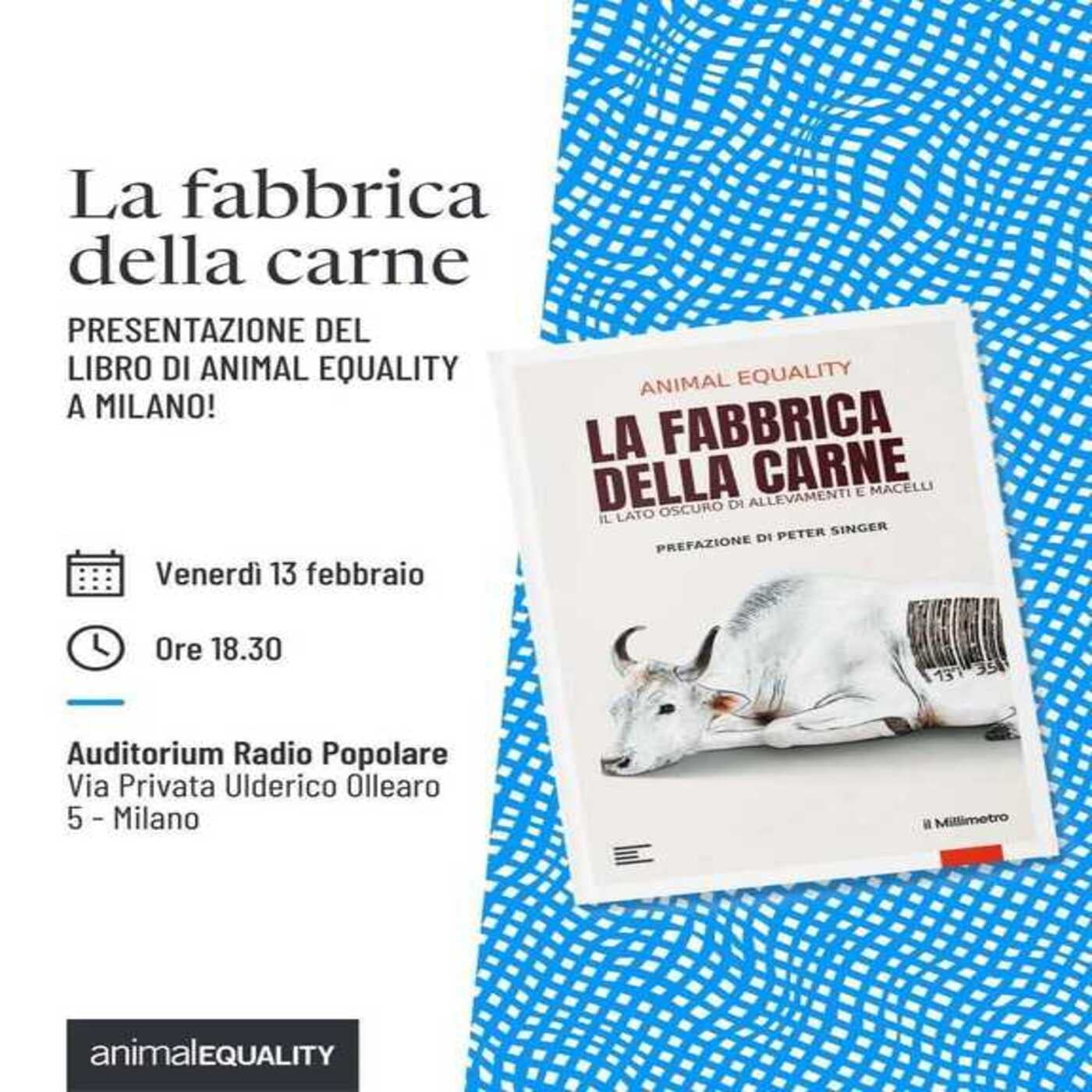 Considera l’armadillo di lunedì 02/02/2026