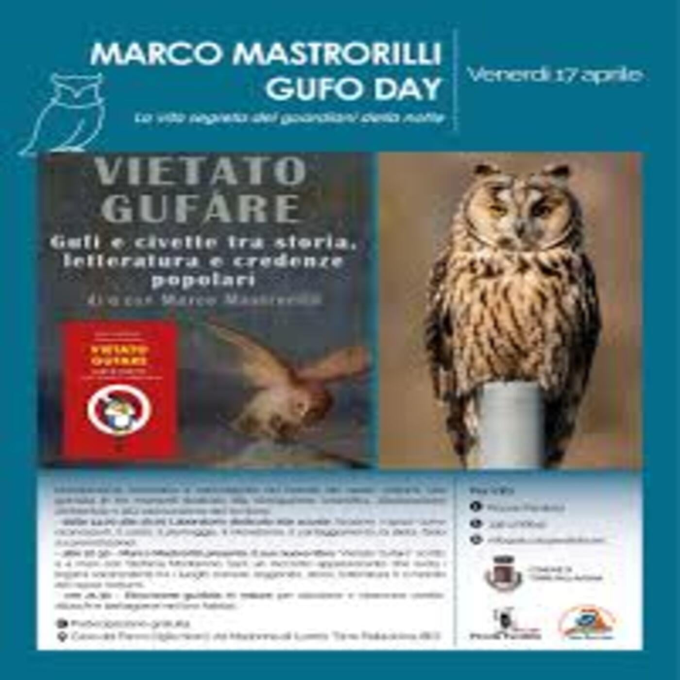 Considera l’armadillo di mercoledì 15/04/2026