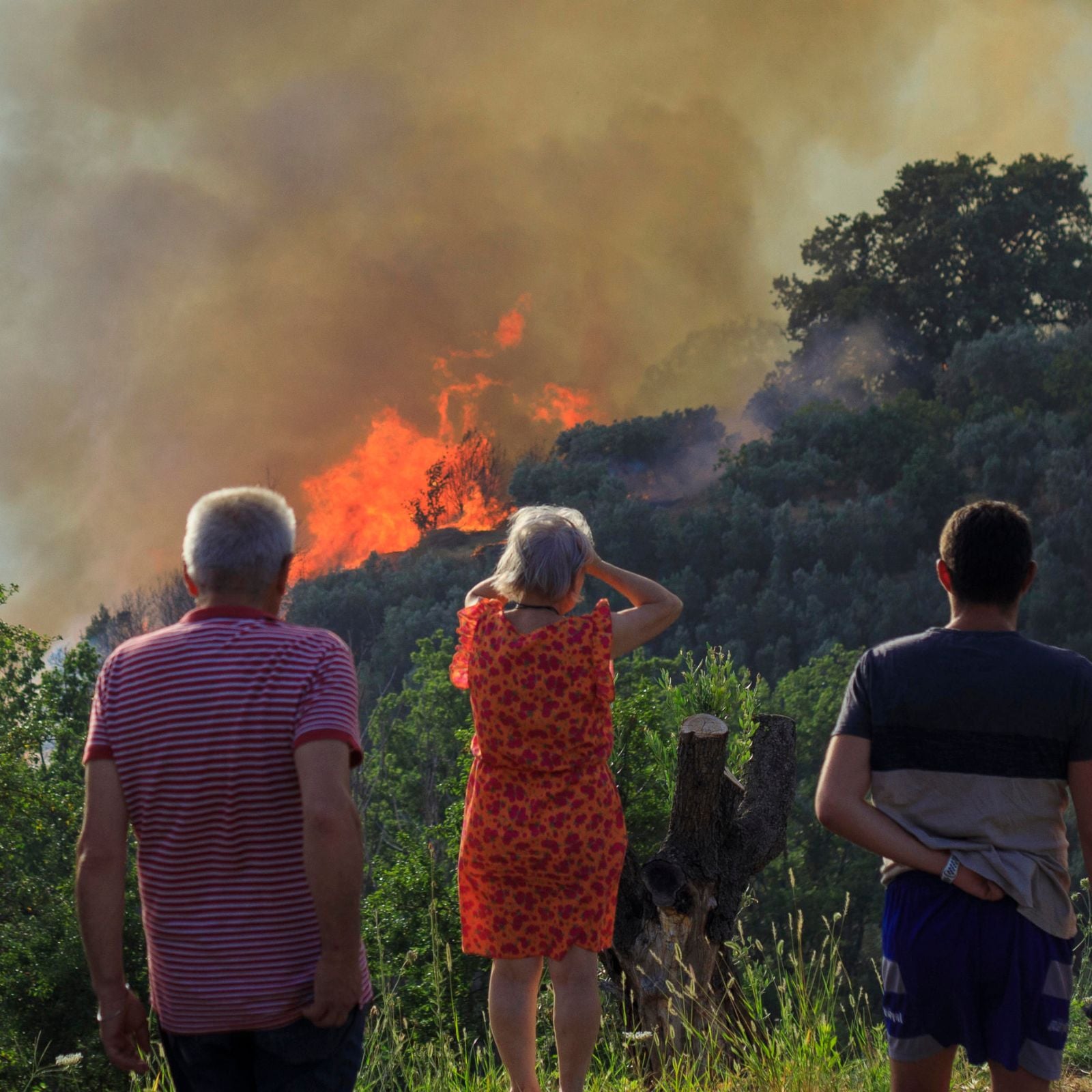 Clima. Mercalli: "Sapevamo già cosa sarebbe successo al clima ma abbiamo fatto finta di niente"