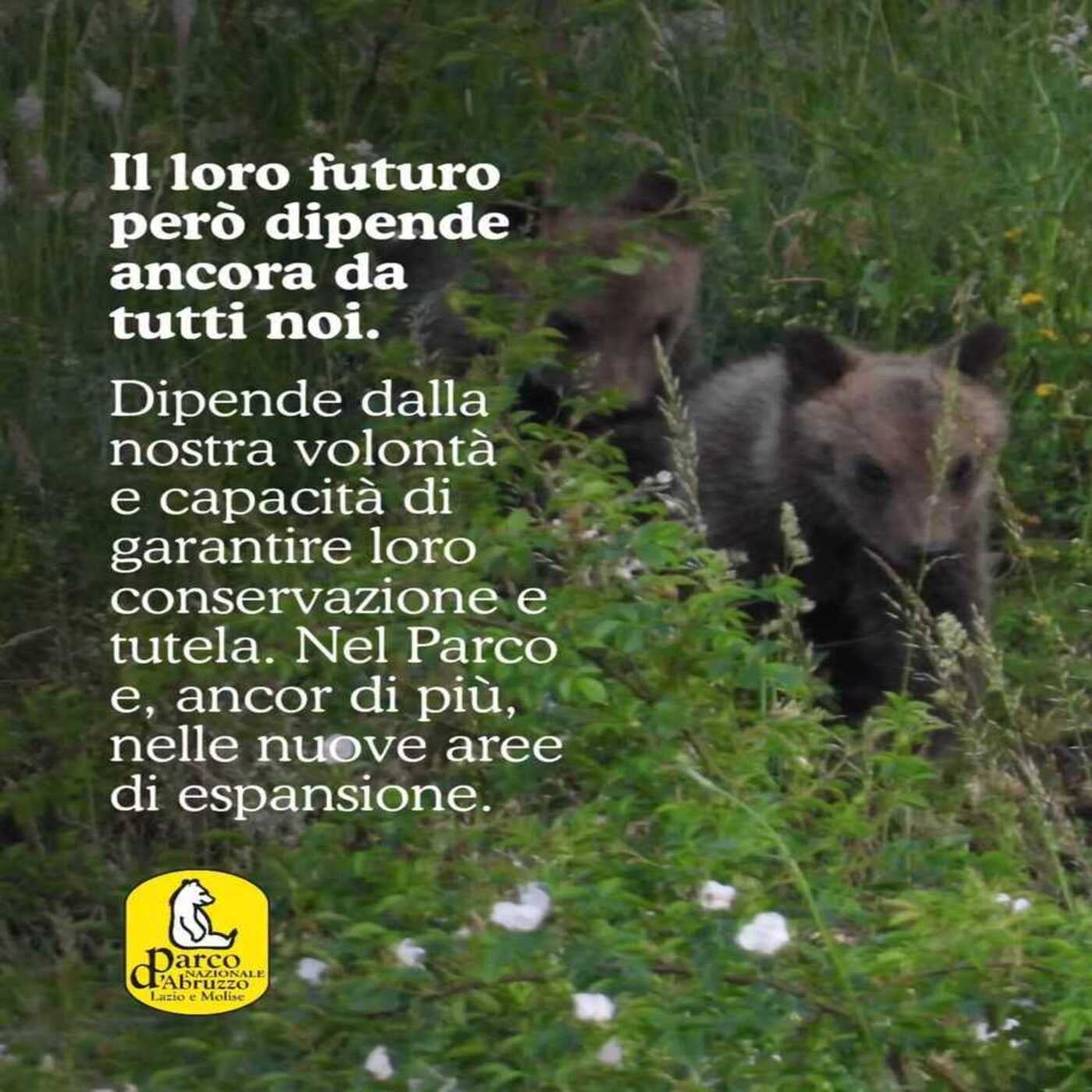 La Scatola Magica di lunedì 03/08/2026
