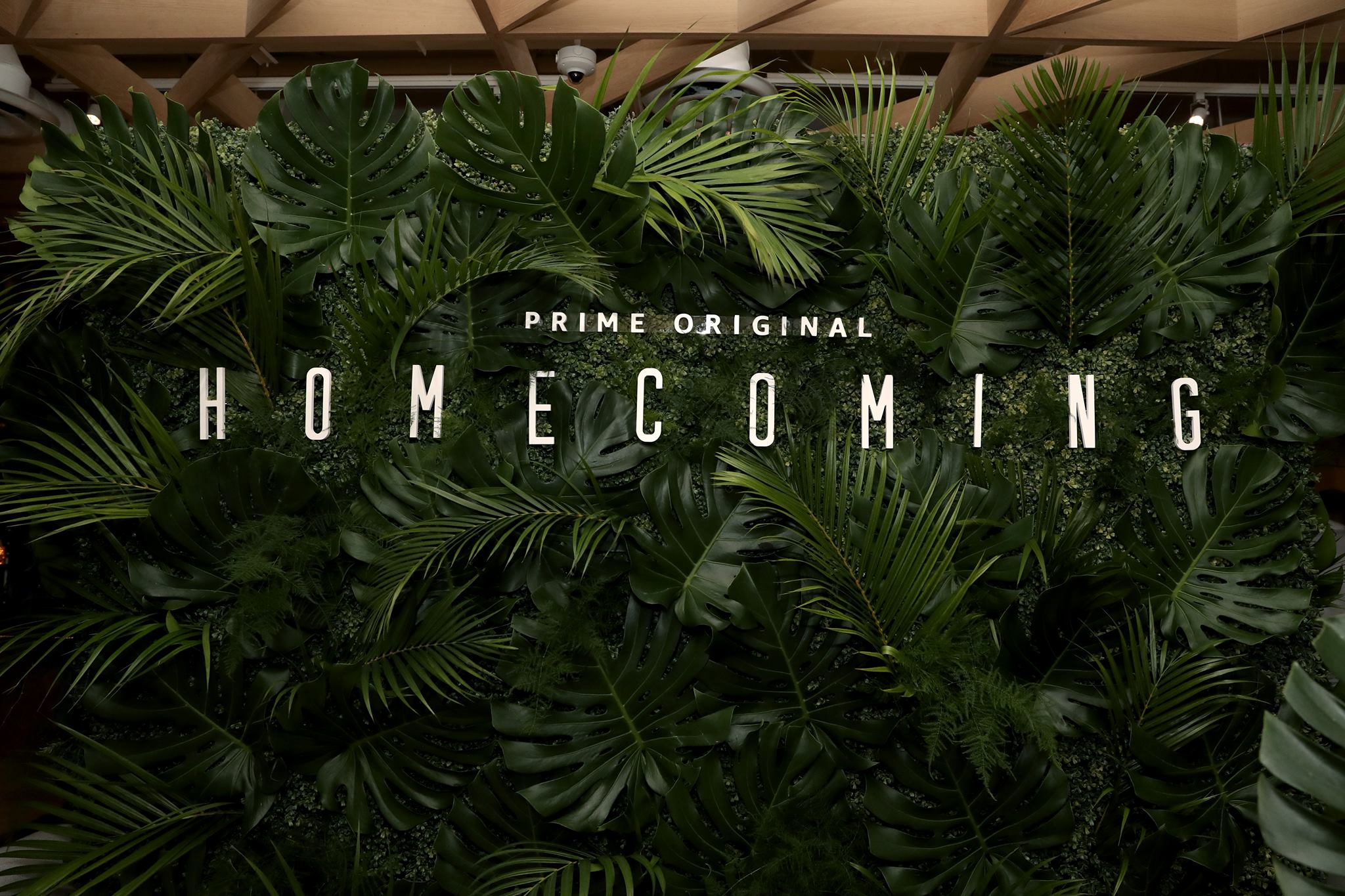 Homecoming - Amazon Prime Video