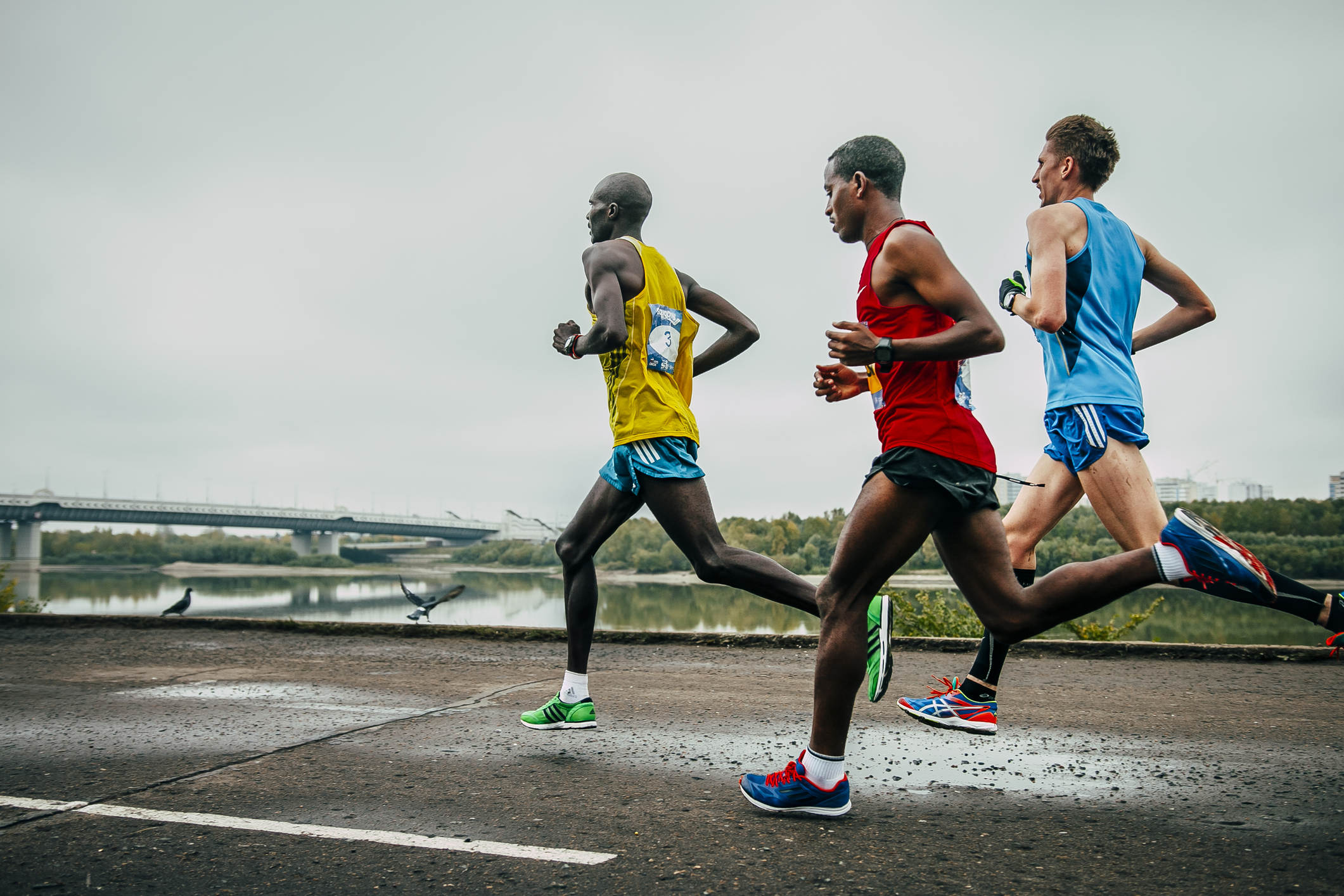 Maratona di Trieste