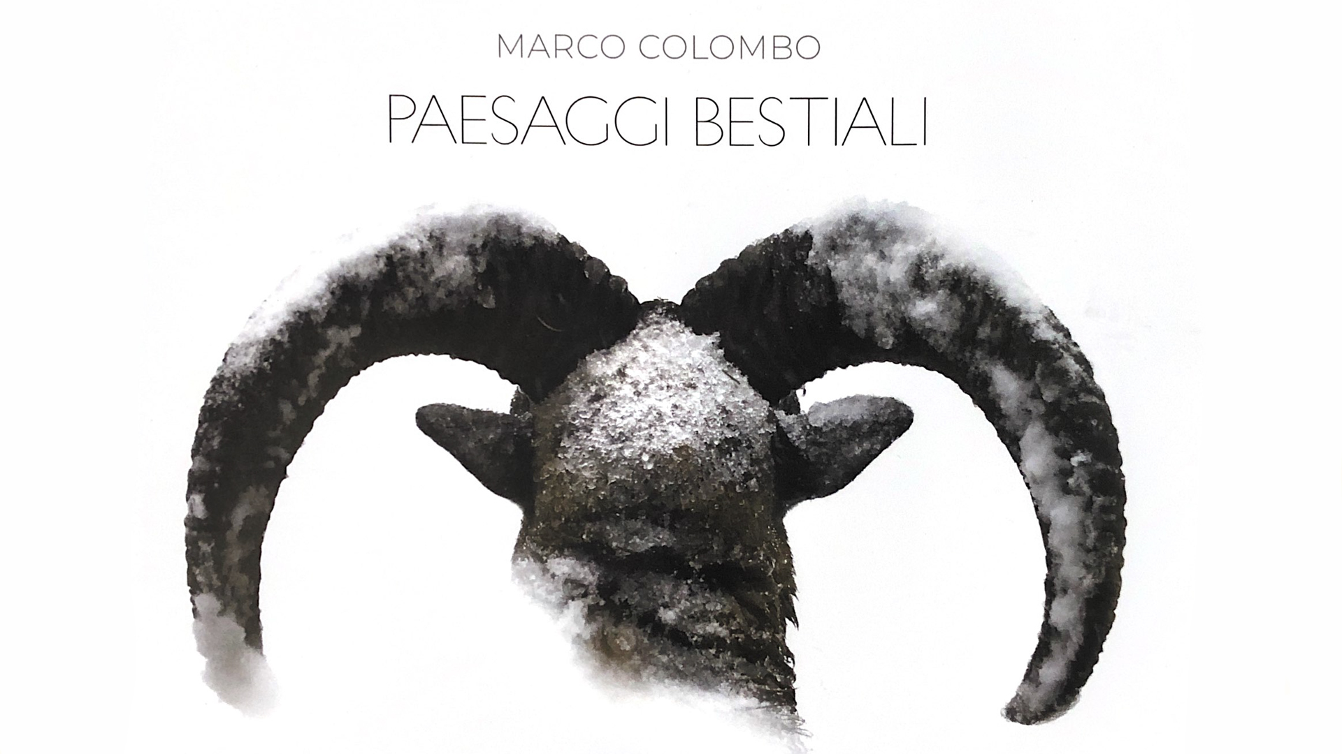 Marco Colombo - Paesaggi Bestiali