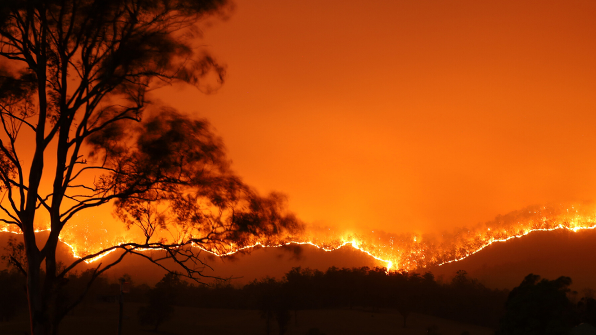 incendi in australia 2020