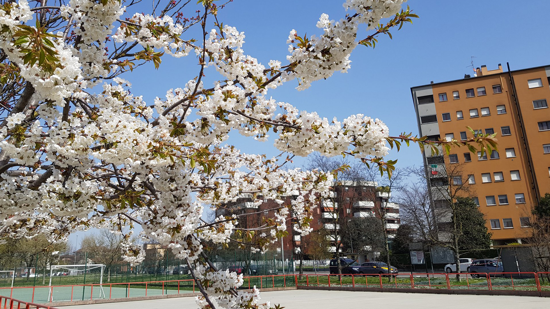 Comune di Settimo Milanese