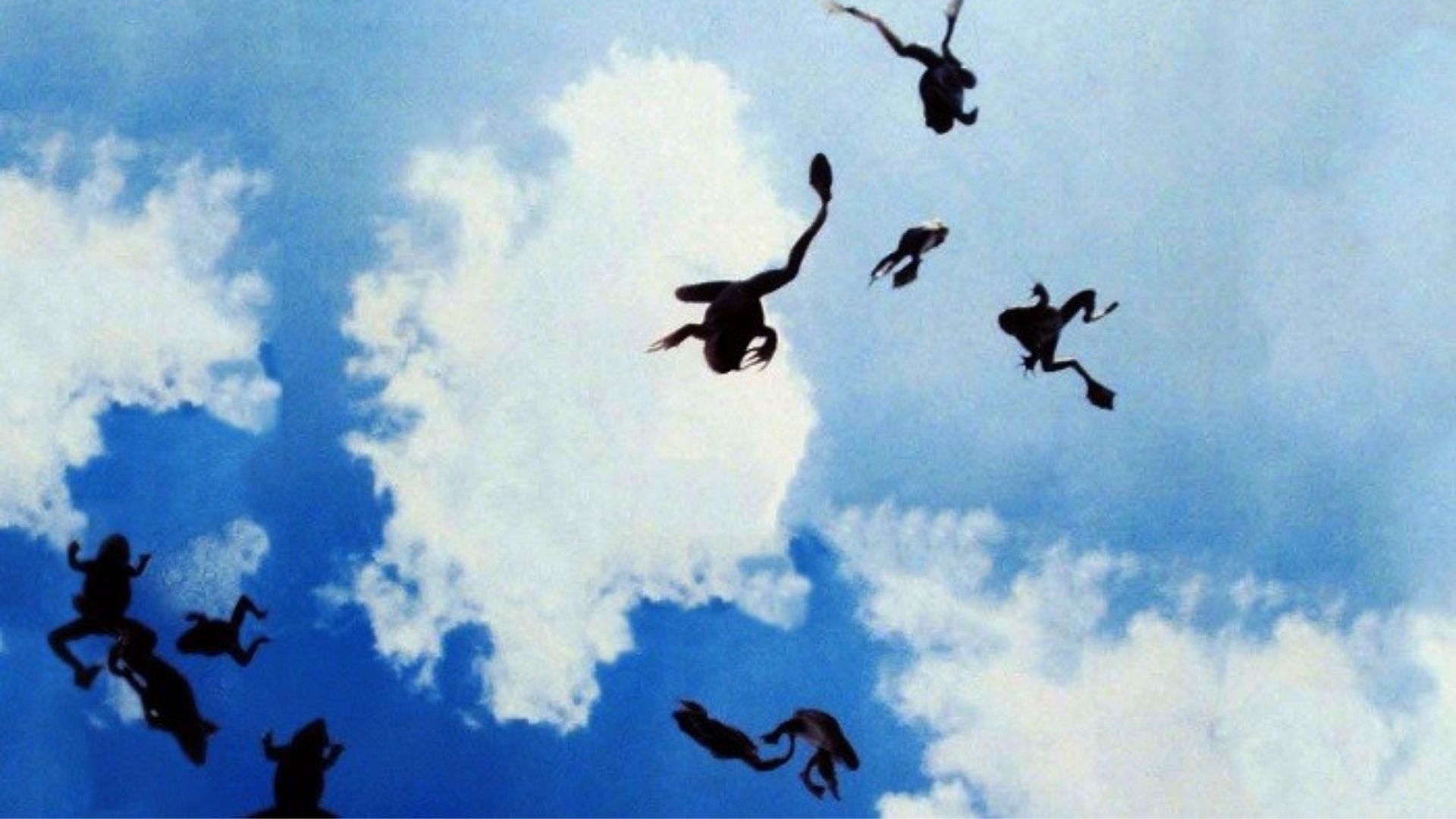 Matteo, buon Dio, perché lo fai Blog Piovono Rane