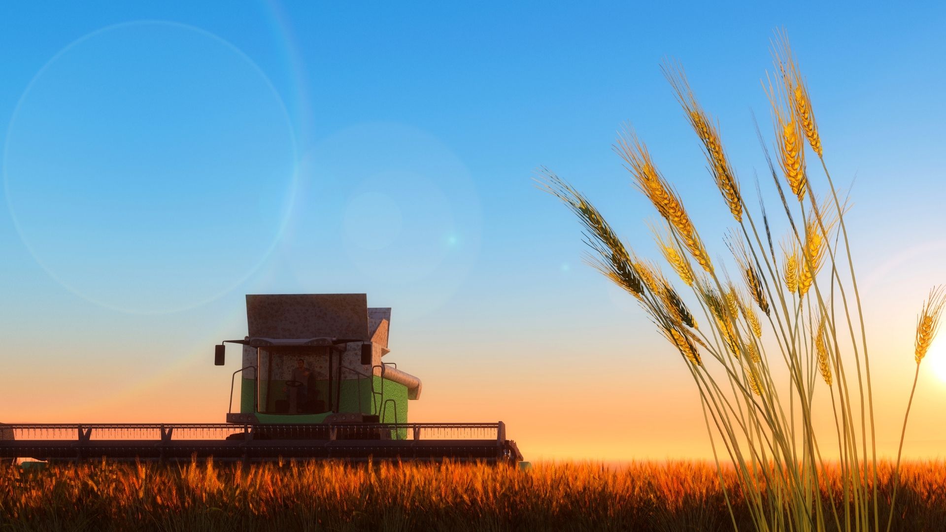 ricadute economiche - mais grano ucraina russia