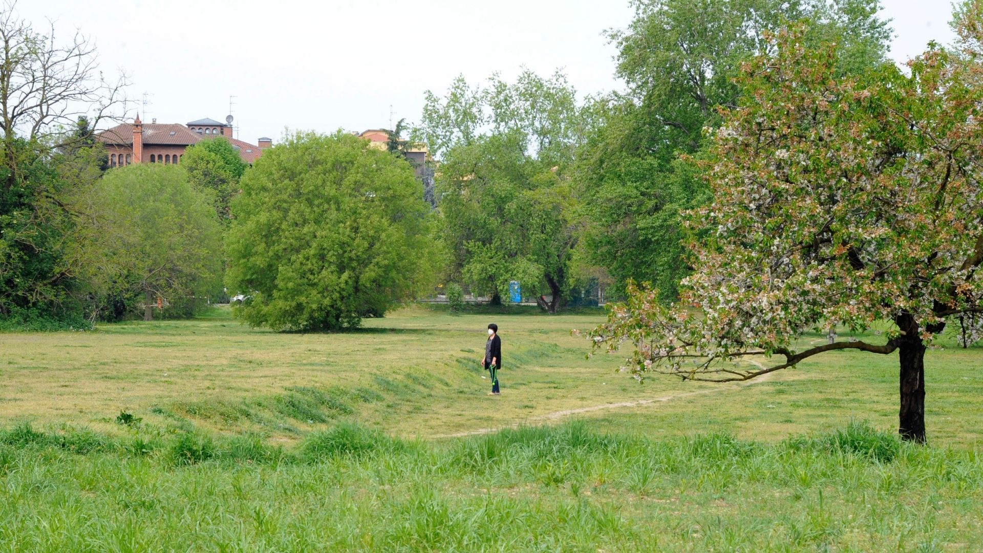 Parco Sud - Milano