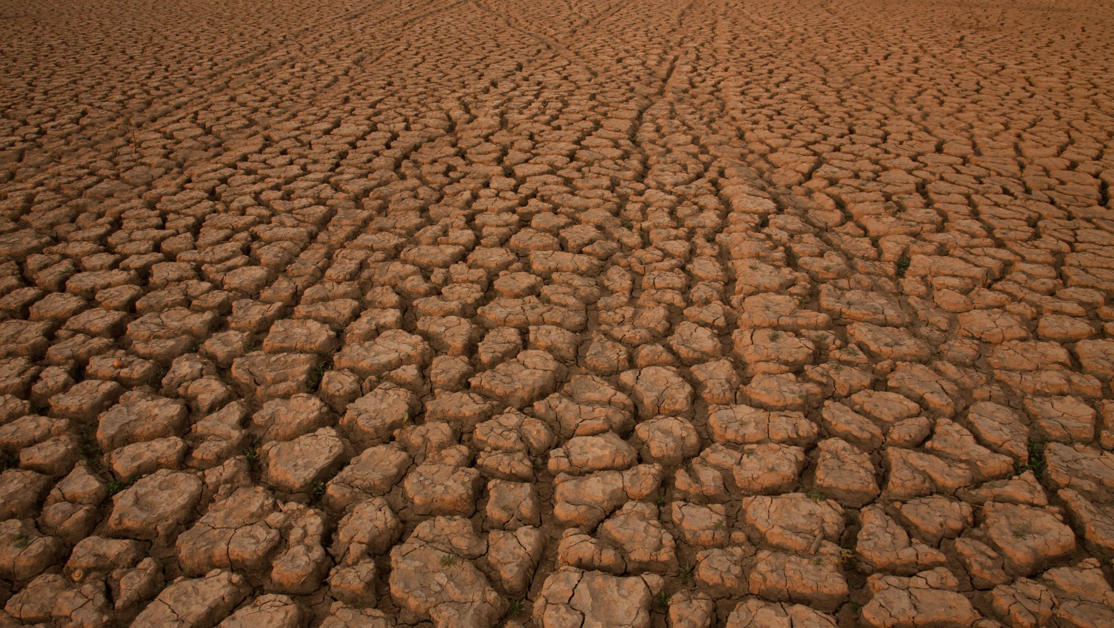 Conferenza ONU Acqua 2023