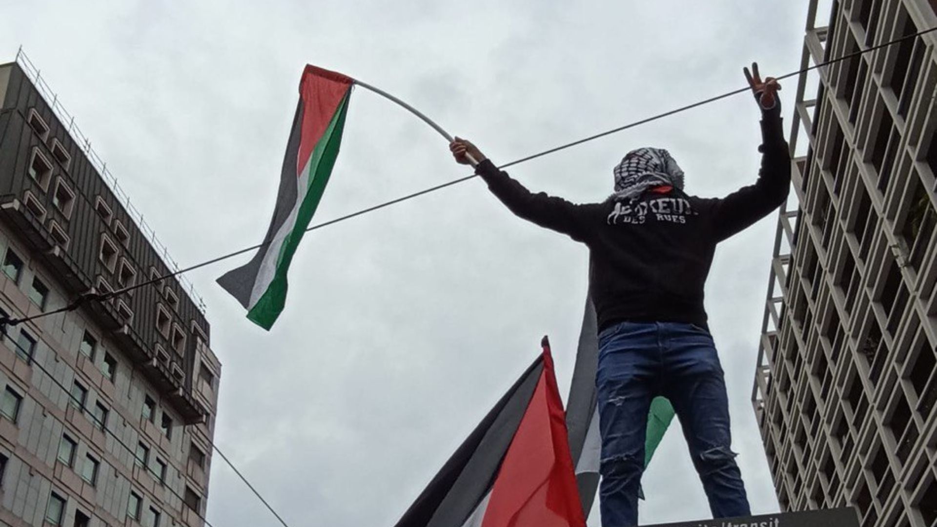 manifestazione pro Palestina a Milano 24 febbraio 2024 - leve palestina