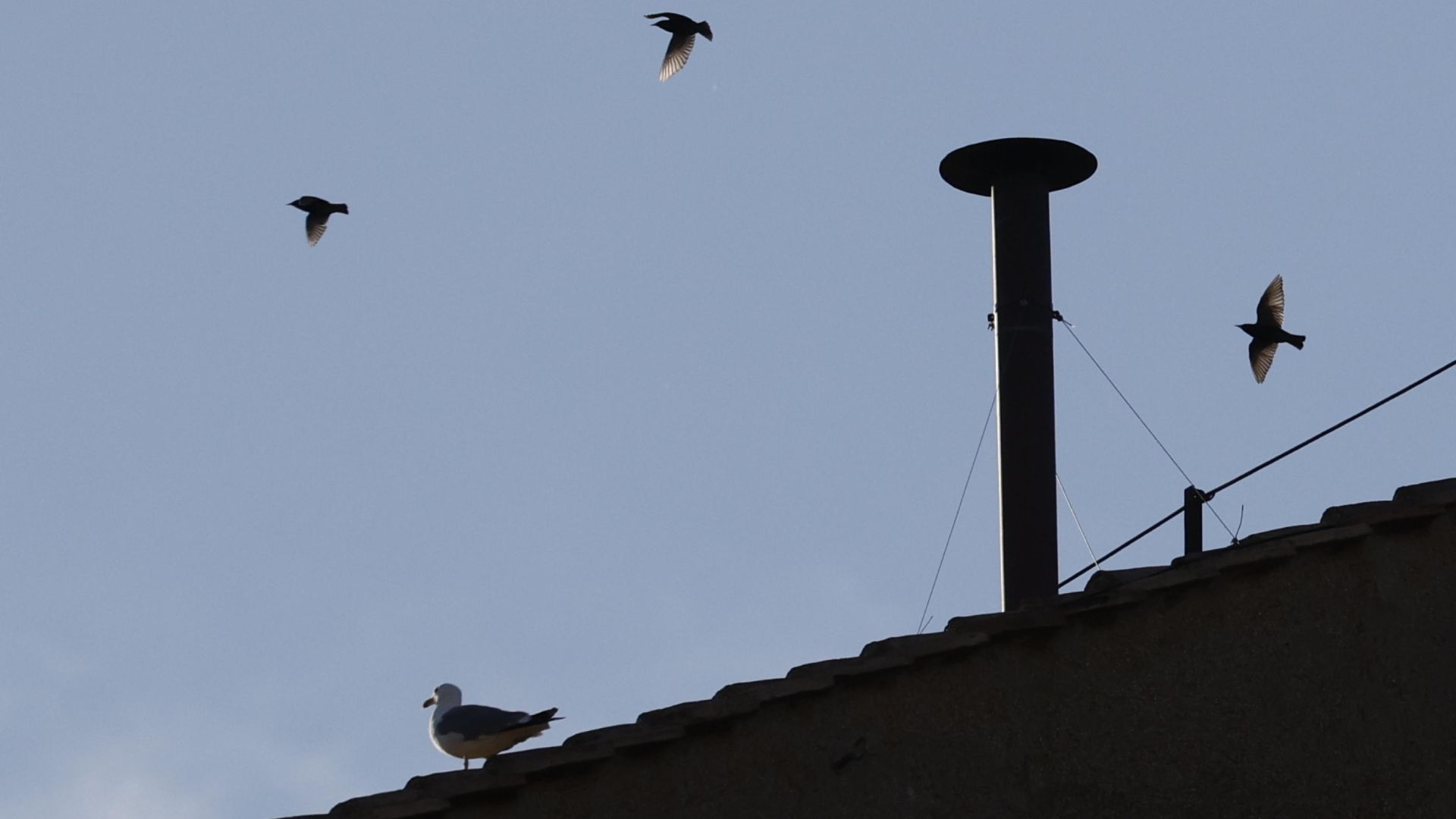 Conclave al via: Parolin favorito, ma i giochi sono ancora aperti